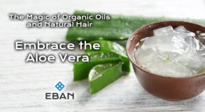 The Magic of Organic Oils and Natural Hair - Embrace the Aloe Vera
