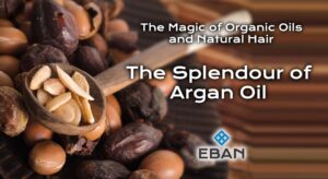 The Magic of Organic Oils and Natural Hair - The Splendour of Argan Oil