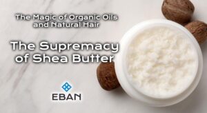 The Magic of Organic Oils and Natural Hair - The Supremacy of Shea Butter