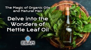 The Magic of Organic Oils and Natural Hair - Delve into the Wonders of Nettle Leaf Oil