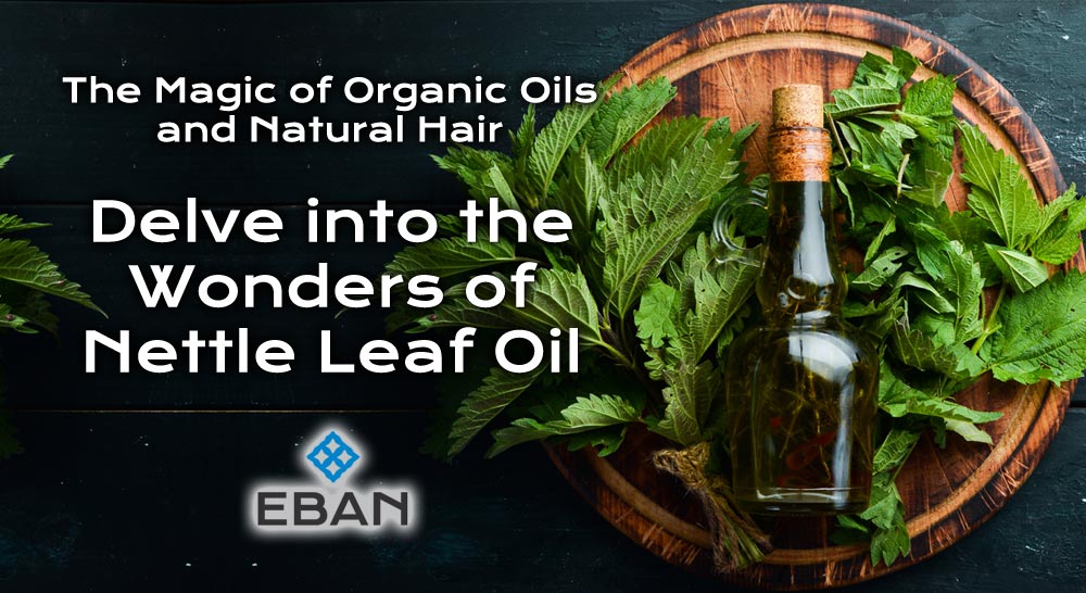 The Wonders of Nettle Leaf Oil 1000x546 1