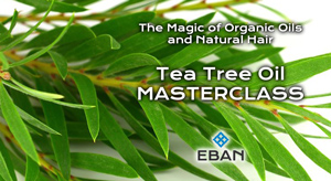 Masterclass TN tea tree 300x164 1