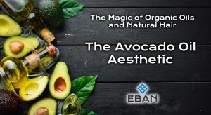 The Avocado Aesthetic 1000x546 1