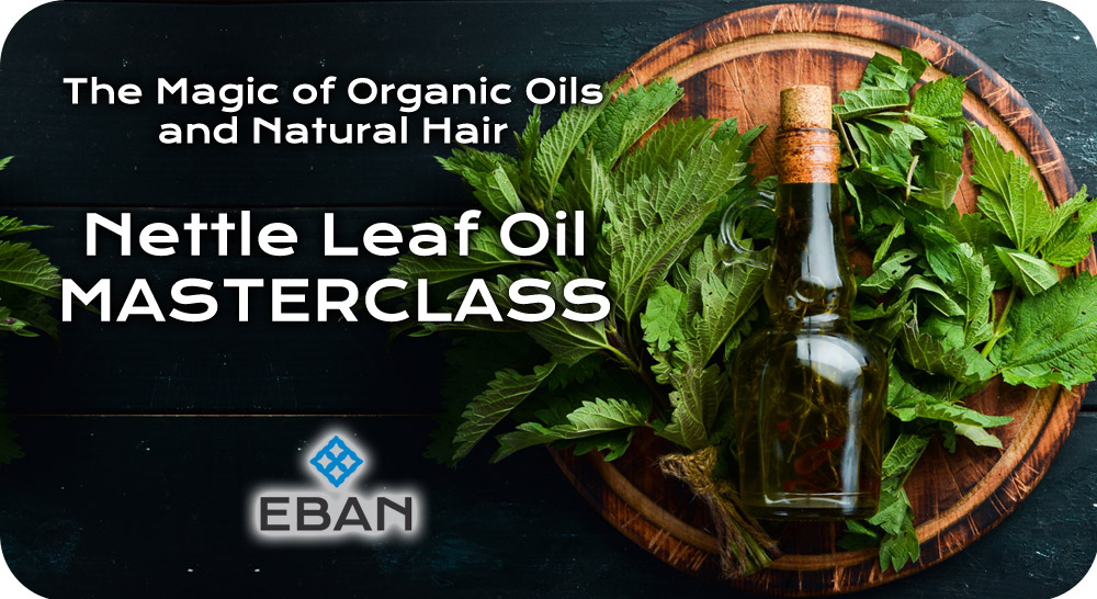 Nettle Leaf Oil masterclass 1000x546 1