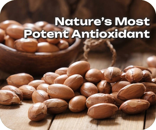 Blog post mid page argan 600x500 1