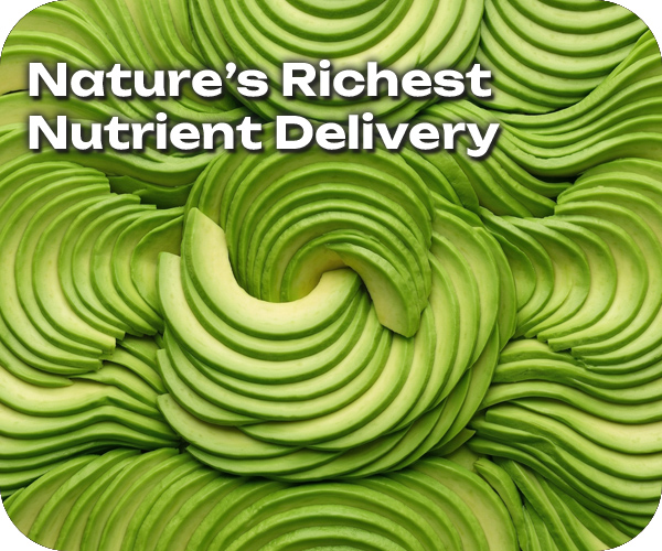 Blog post mid page avocado 600x500 1