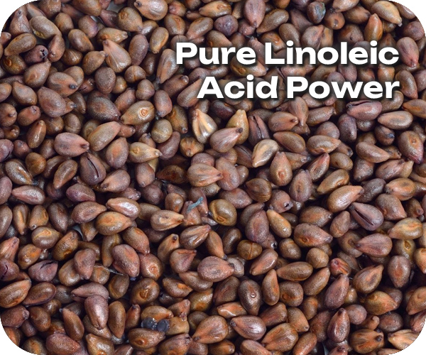 Blog post mid page grapeseed 600x500 1