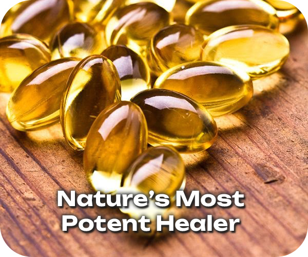 Blog post mid page vitamin e 600x500 1